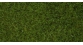 noch 07102 Herbes sauvages vert clair